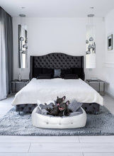 Load image into Gallery viewer, NELKE Luxury Dog Bed "Valetta"