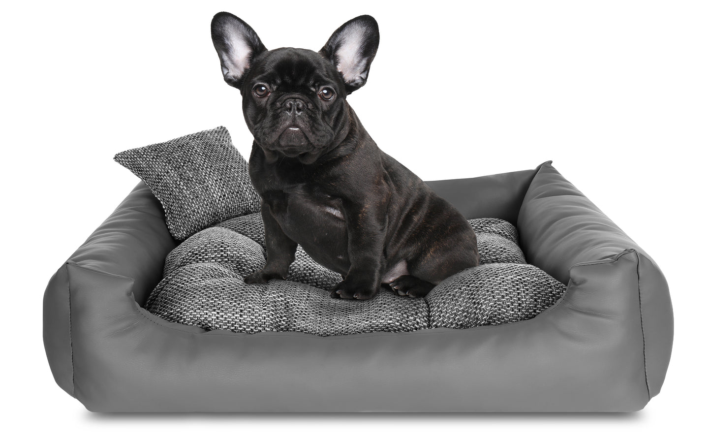 Nelke Hundebett Reykjavík