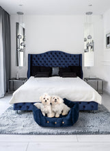Load image into Gallery viewer, Nelke Dog Bed - &quot;Paris&quot;

